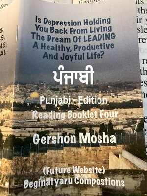cover image of THINK-BOOK ਥਿੰਕ-ਕਿਤਾਬ ( Punjabi Edition)